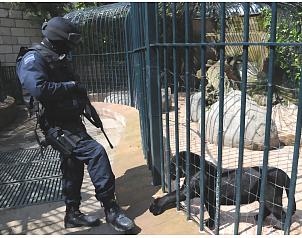 El Universal - Nación - Trasladan a animales de narcocasa a Guadalajara