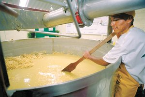 Biotecn�logos del Cinvestav Quer�taro renuevan el proceso de nixtamalizaci�n