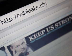 WikiLeaks �desnuda� a Washington