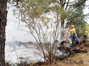 Incendios arrasan con 6 mil ha en Coahuila