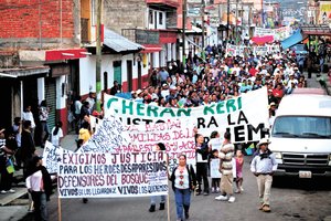 Cher�n exige consulta para elegir autoridades