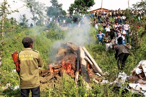 Polic�a Comunitaria enfrenta primer caso de narcotr�fico