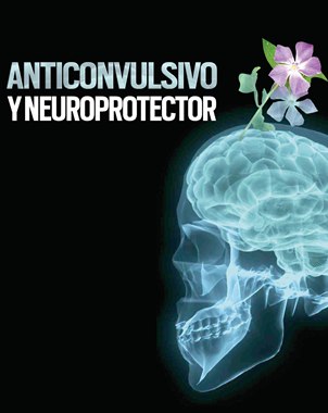 Hallan en f�rmaco gran potencial anticonvulsivo y Neuroprotector