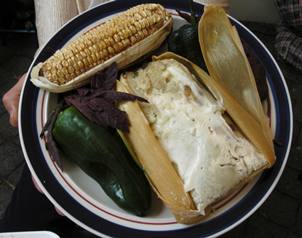 El texto trata varios aspectos antropol?gicos de los pueblos aut?ctonos de Morelos.