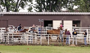 EU desbarata red de Agentes federales catearon un rancho en Lexington, Oklahoma, en Estados Unidos, en donde se criaban