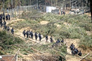 Plantar�n siete �rboles por cada uno derribado