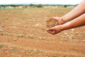 Suelos enfermos afectan a Zacatecas Suelos enfermos afectan a Zacatecas