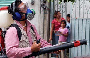 Este a�o se han presentado 53 casos nuevos de dengue en Sinaloa