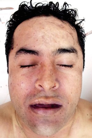 An vaco, lo que sera su mausoleo An vaco, lo que sera su mausoleo