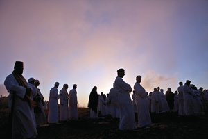 Los verdaderos guardianes de la tor�