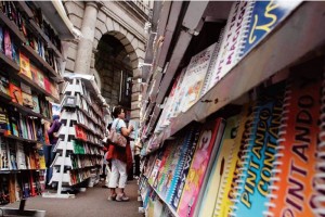 En la edici�n 34 de la Feria del Libro de Miner�a hay un gran inter�s por las sagas juveniles, los b