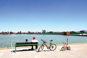 Presumen parque Bicentenario