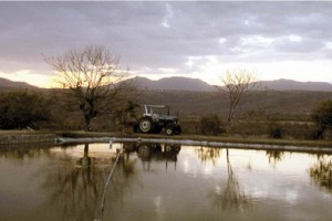 reas de acuacultura en Tetlama, Morelos, instaladas cerca de la zona donde la minera canadiense Esp