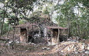 Creen que los mayas migraron al norte Creen que los mayas migraron al norte