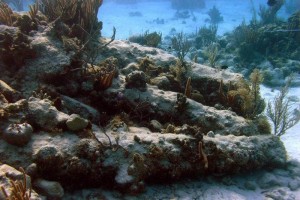 Secciones de madera de una embarcacin en Banco Chinchorro que se encuentran cubiertas de corales
