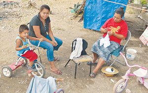 Tamaulipas cae ante amenaza del dengue