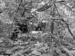 Localizan fosa clandestina en Nayarit; hallan cinco cuerpos Localizan fosa clandestina en Nayarit; hallan cinco cuerpos