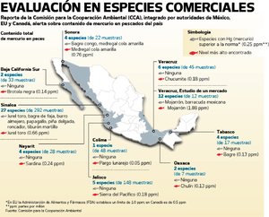 Detectan mercurio en peces de 3 estados