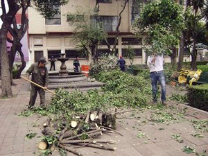 Recuperan la plaza Buenavista