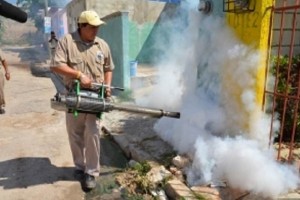 Reportan 57 casos de dengue en BCS; 3 son hemorrgicos