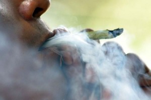 Legalizaci�n de mariguana no detendr� violencia: PRI