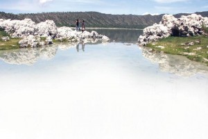 Lago volcnico en cuyas aguas existen estromatolitos, antiguas estructuras formadas de microorganism