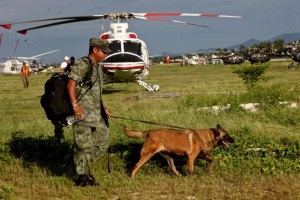 Los perros tratarn de localizar a los desaparecidos en la poblacin de La Pintada.