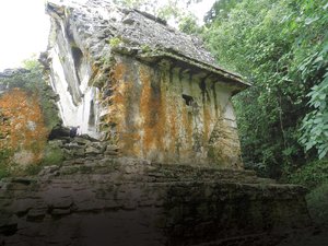 Algas protegen monumentos mayas