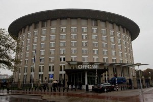 La Organizaci�n para la Prohibici�n de las Armas Qu�micas (OPAQ) gan� el Premio Nobel de la Paz 2013