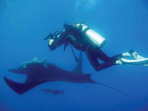 Los cines se tien de Azul intangible Los cines se tien de Azul intangible