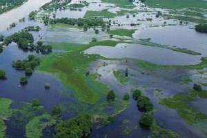 La red hidroagrcola de Sinaloa resinti daos por el impacto del huracn 