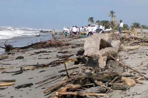 En la playa San Andrs, al menos 130 personas realizan la limpieza de las playas donde separan botel