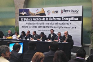 Perredistas inician sus propios foros energticos