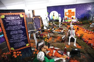 Alistan feria de la ciencia en el Z�calo