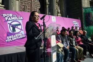 A un a�o del programa de desarme voluntario, se han logrado recolectar 9 mil 654 armas