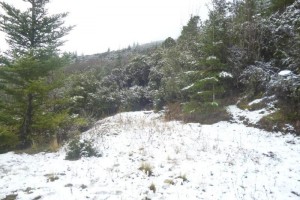 La nevada se present sobre todo en el Cerro de La Martha, El Coahuiln y El Picacho