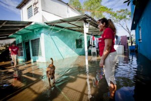 Entregan despensas a damnificados en Tabasco Diversas zonas se encuentran inundadas, luego de las fuertes precipitaciones que se presentaron en d