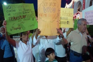 Protestan en Cancn contra tala de rboles