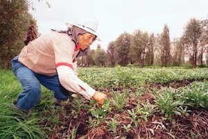 Campesinos del DF recibir�n tarifa especial de $3 en Metro