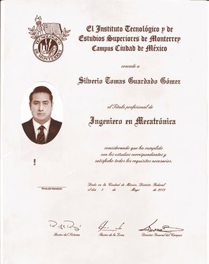 Hallan anomal�as en 80% del t�tulo falso