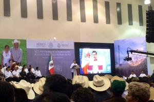Pea Nieto anuncia profunda reforma para el campo