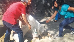 Coyoacn: se enfrentan por parqumetros Coyoacn: se enfrentan por parqumetros