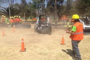 Unos 70 trabajadores har�n podas, derribo de �rboles muertos y generaci�n de composta, entre otras a