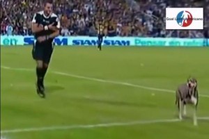 El campo sali� entre aplausos del campo.