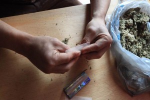 Mario Anguiano se�al� que la decisi�n de aprobar o no una iniciativa para legalizar el uso de la mar