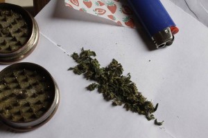 El senador Omar Fayad Meneses se�al� que 