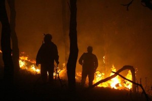 Chiapas y Quer�taro son los estados afectados por incendios activos, que combaten 55 personas, 18 y 