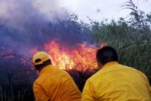 De acuerdo con expertos, Oaxaca enfrentar� una temporada sumamente cr�tica durante los meses venider