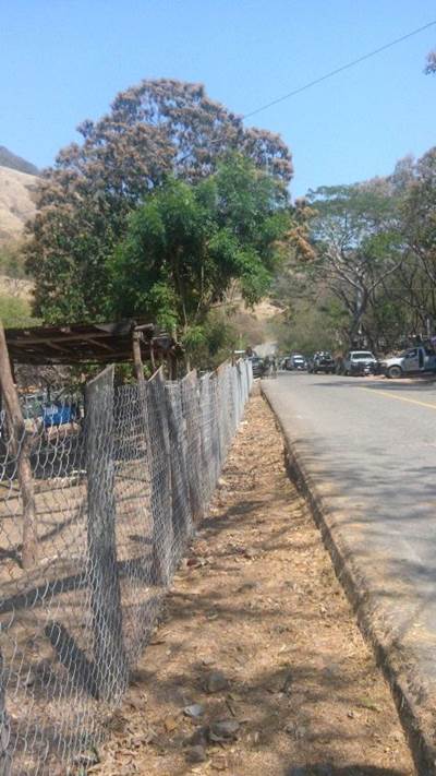 Luego del ataque a balazos, ‎se decomisaron seis vehculos con placas de Michoacn y Jalisco a