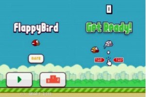 Flappy Bird fue hecho por Nguyen Ha Dong, un desarrollador independiente de 29 aos, que reside en H
